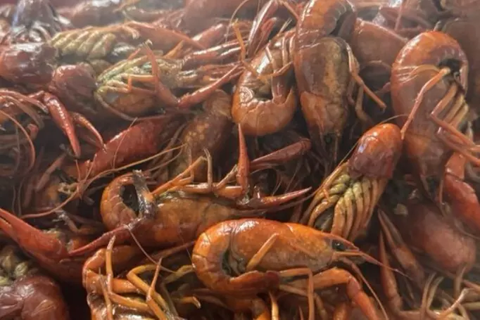 $15 For $30 Worth Of Casual Dining