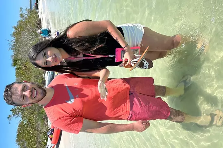 Exclusive Kayak Expedition: Exploring the Mangroves to Shell Key