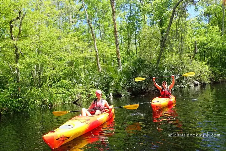 Self Guided Family Friendly Kayak Rental Experience Old Florida - Primary Image