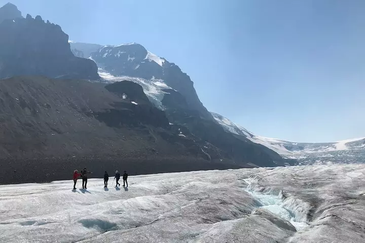 Tread Lightly Glacier Hikes - Primary Image