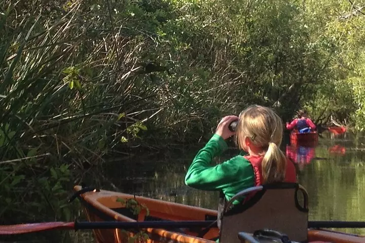 2Hour Everglades Kayak Safari Adventure Through Mangrove Tunnels - Primary Image