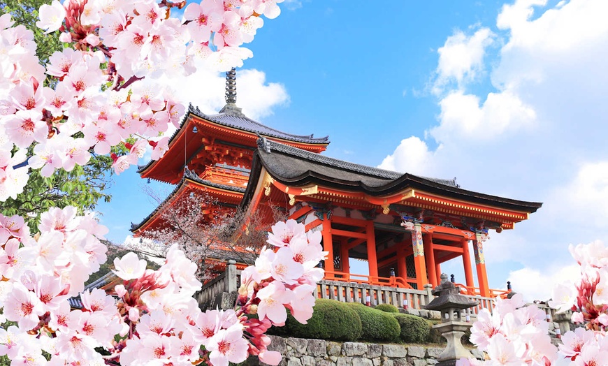 Image 4: ✈ JAPAN | Osaka - Entdeckung von Hyogo und Kansai 4*, 10 Nächte - R...