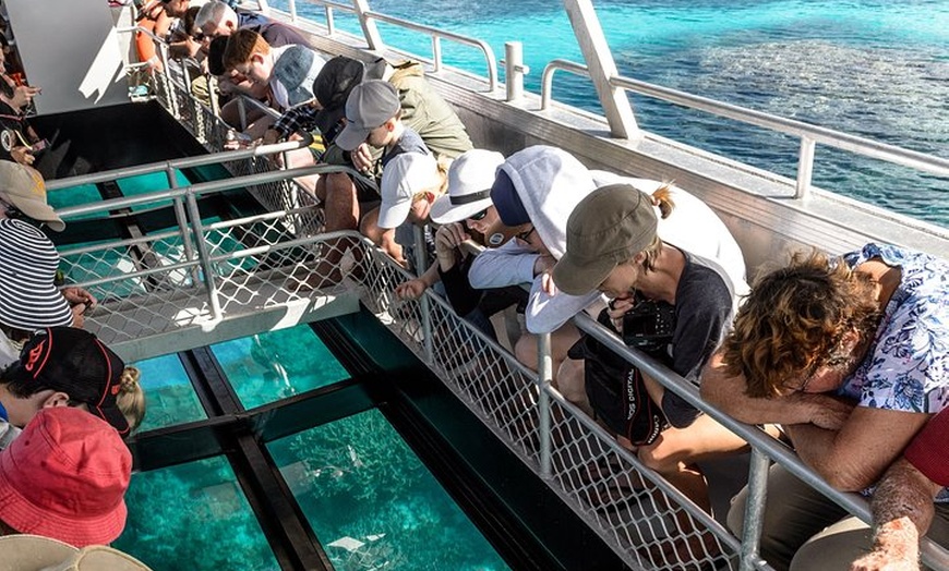 Image 3: Lady Musgrave Day Trip from Bundaberg Including Snorkeling