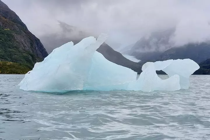 Wilderness, Wildlife, Glacier Experience from Anchorage