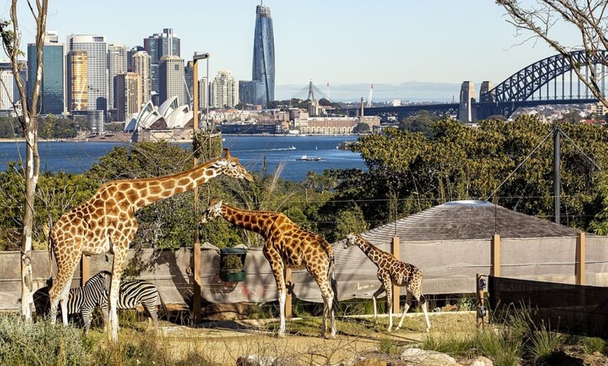 Image 1: Taronga Zoo + Sydney Harbour Hopper Combo Passes