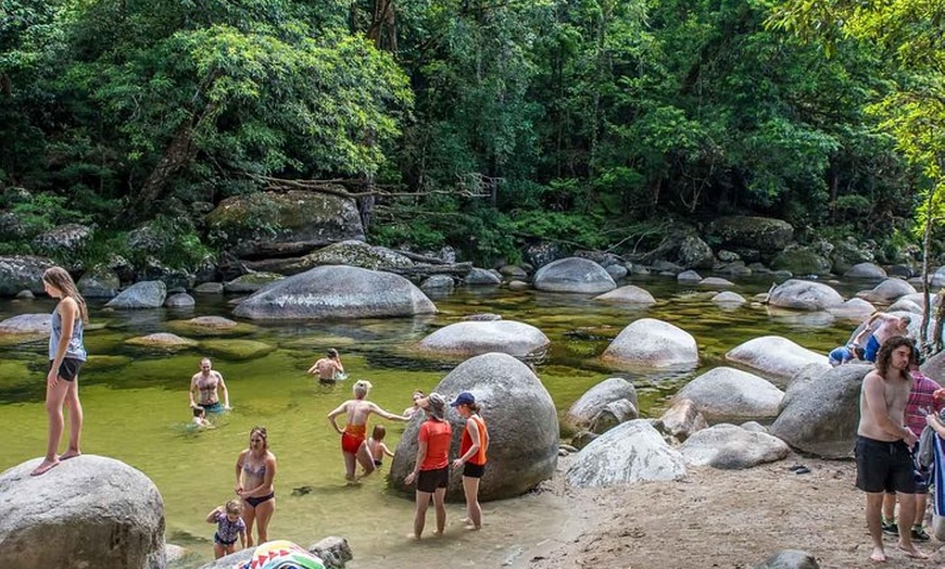 Image 3: Cape Tribulation, Mossman Gorge, and Daintree Rainforest Day Trip