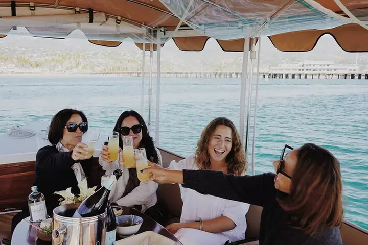 Private Harbor Cruise on Electric Boat in Santa Barbara
