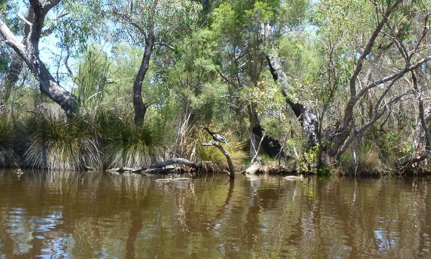 Image 2: Kayak Tour on the Canning River