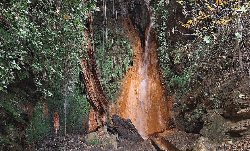 Image 7: Excursión de día completo a Las Alpujarras con almuerzo opcional de...