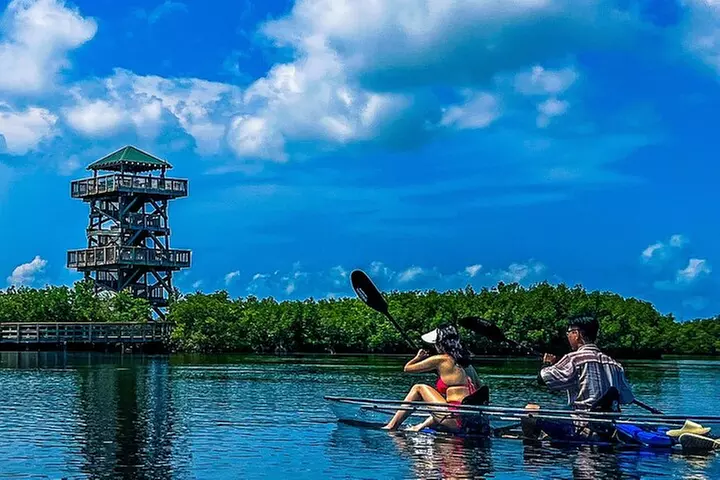 Clear Kayak Ecotour at Robinson Preserve in Bradenton, Florida