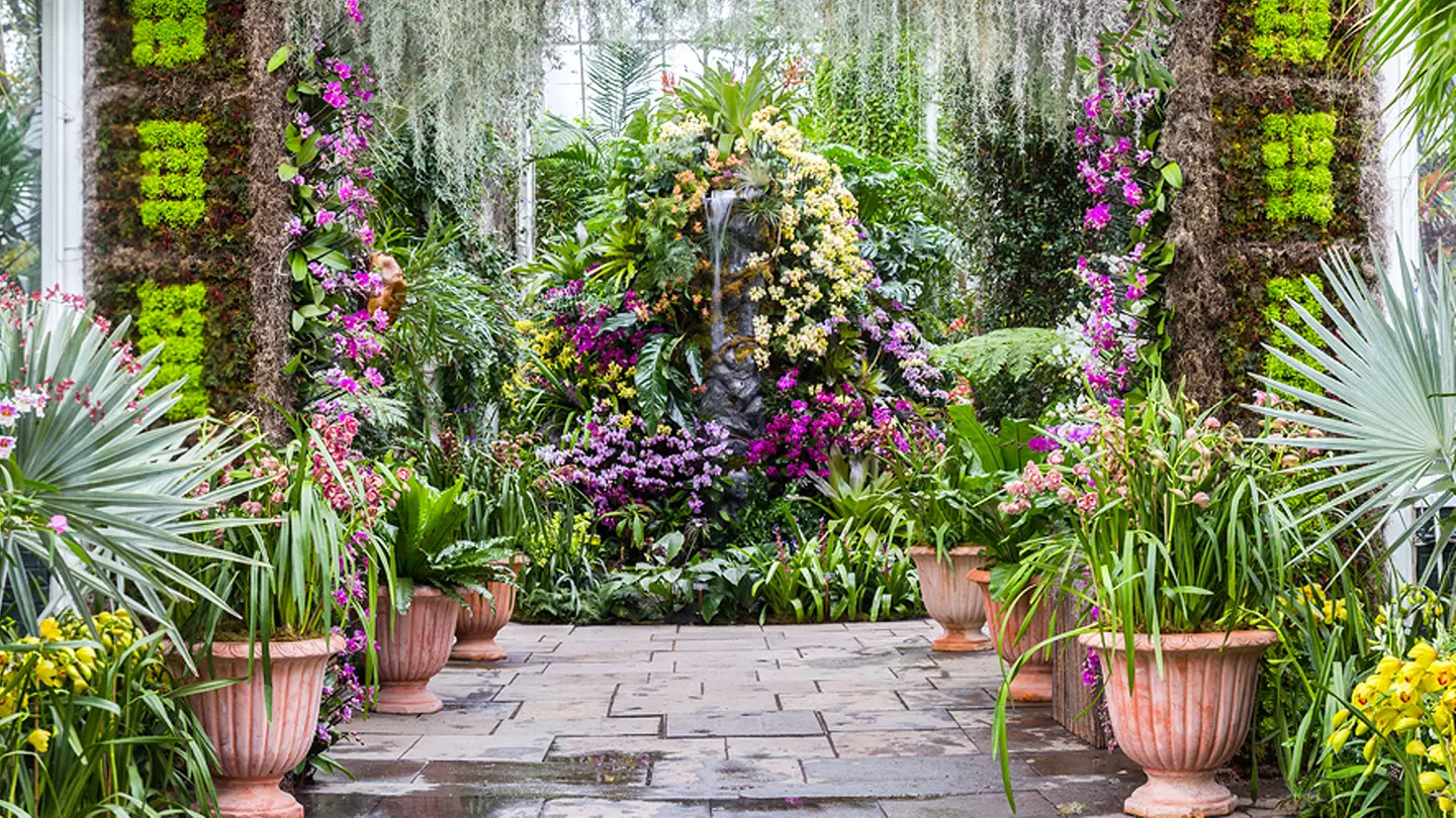 The Orchid Show at New York Botanical Garden - Primary Image