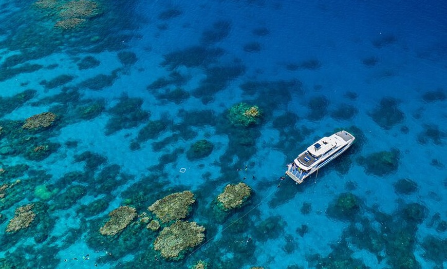 Image 2: Silverswift Dive and Snorkel Great Barrier Reef Cruise