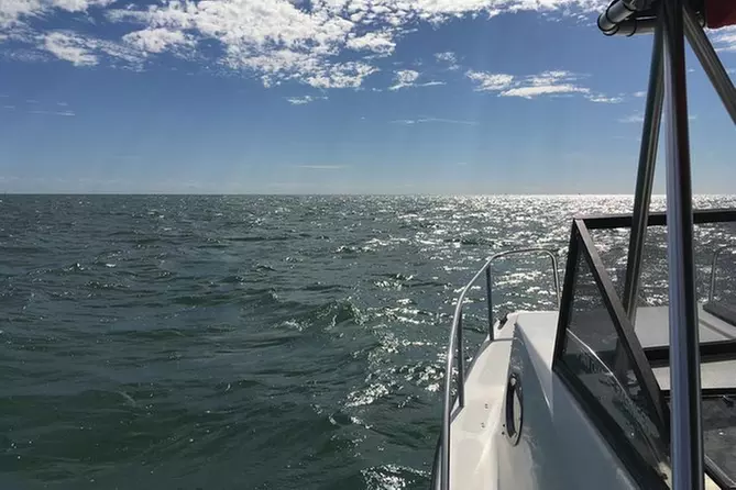 One Hour Private Charter - Primary Image