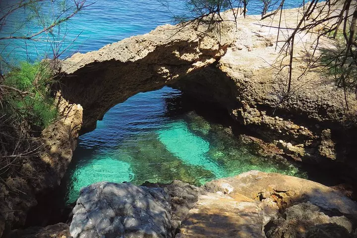 Mallorca : Paseo en kayak, cueva marina, salto acantilado y snorkel