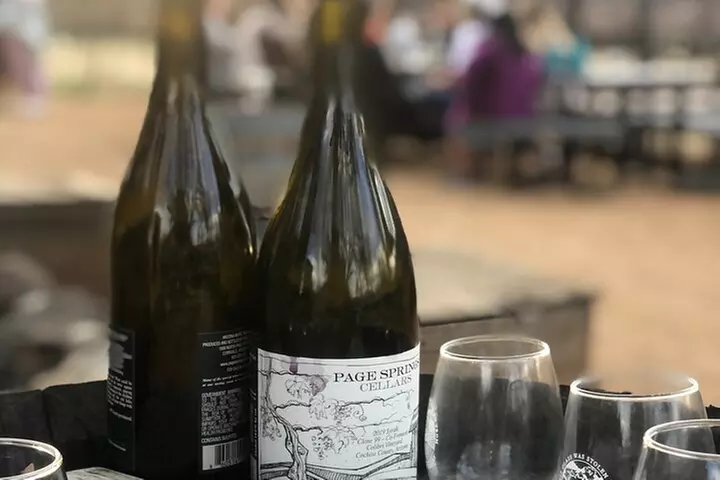 Vortex to Vineyards by ABC wildlife host Rachel Reenstra