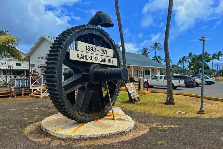 Diamond Head Hiking and Oahu Island Experience feat. North Shore