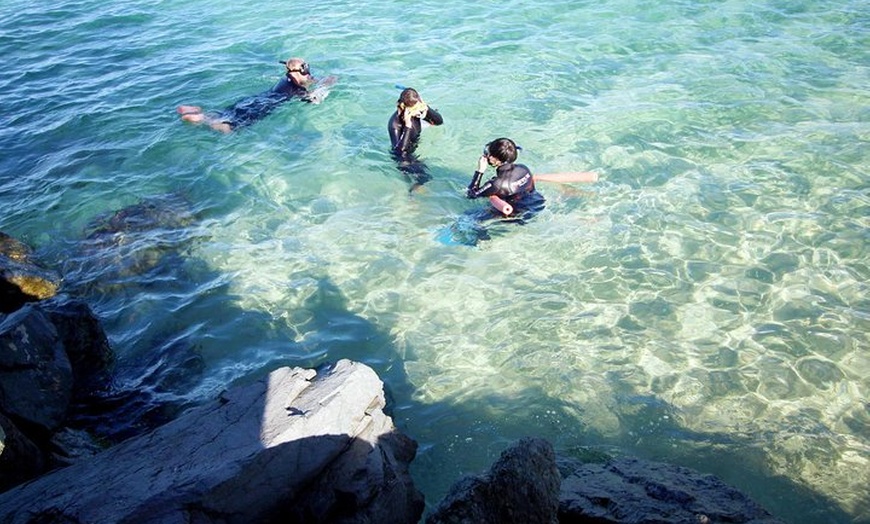 Image 25: Wave Break Island Snorkel Tour on the Gold Coast