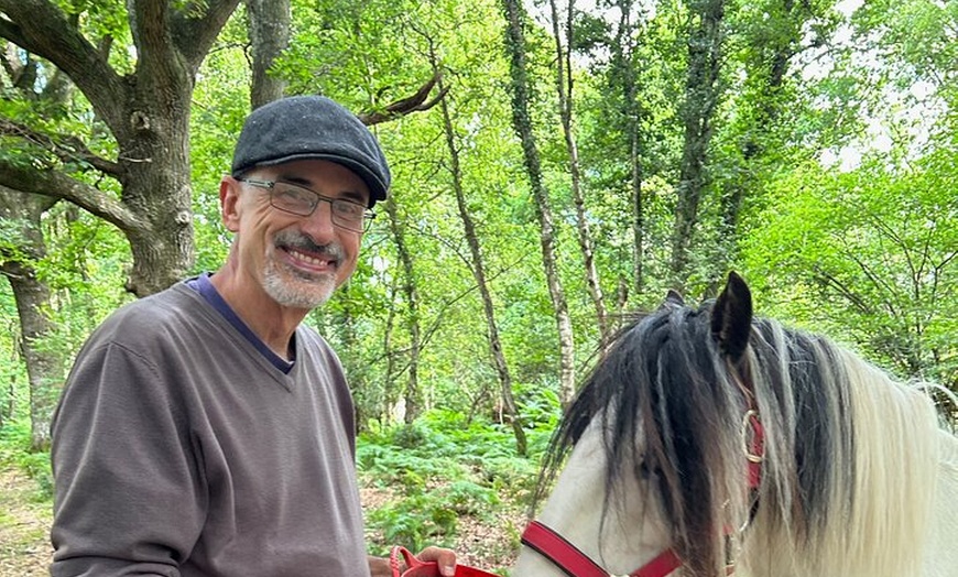 Image 3: Pack Pony Wild Camping in Ancient Woodland, Dorset