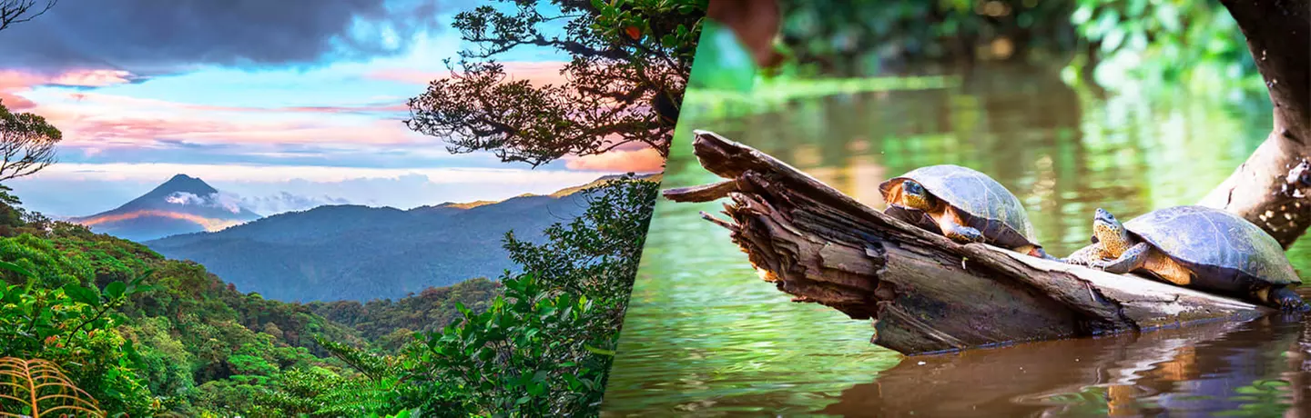 ✈ COSTA RICA | Von San José nach Manuel Antonio - Die Wunder von Costa Rica mit Verlängerung in Manuel Antonio 3*, 9 Nächte - Rundreise - Primary Image