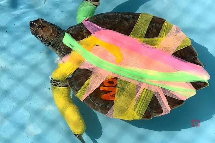 Self-Guided Audio Tour in Florida Keys