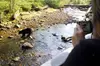 Wilderness and Wildlife Hiking Tour - 3hr Hike