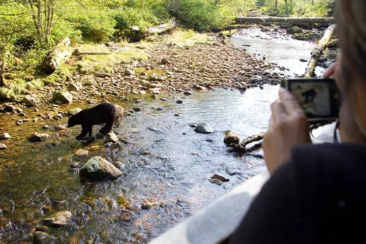 Wilderness and Wildlife Hiking Tour - 3hr Hike - Primary Image