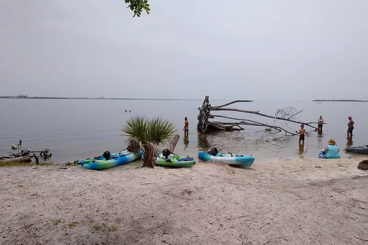 Guided Kayak Tour with Manatee & Dolphin Sightings
