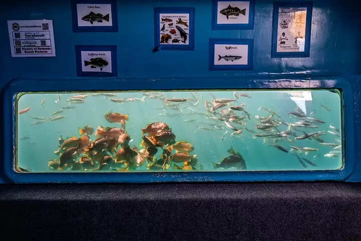 Glass Bottom Boat Ride in Redondo Beach