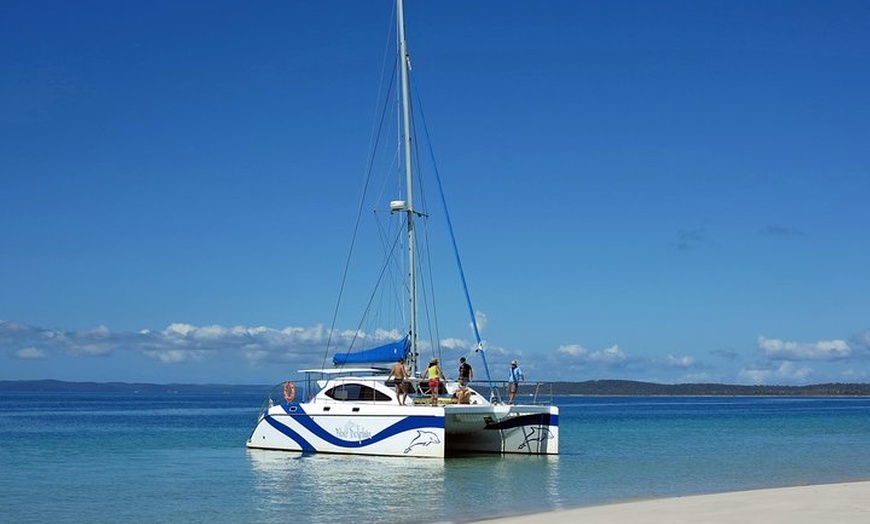 Image 4: Fraser Island & Dolphin Sailing Adventure