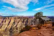 Grand Canyon West: Flight of the Condor - Second Medium