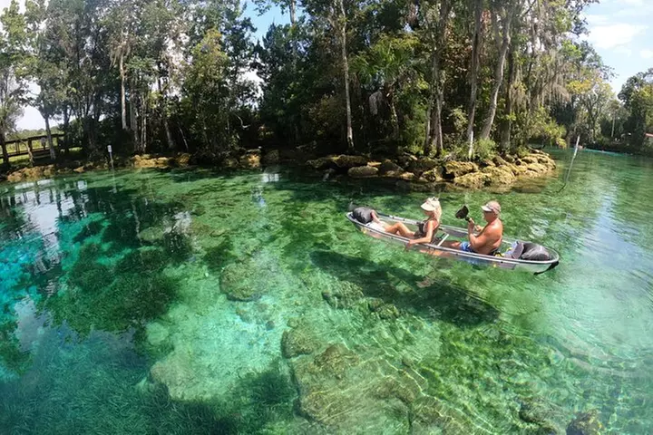 Clear Kayak Three Sisters Springs & Manatee Tour Of Crystal River