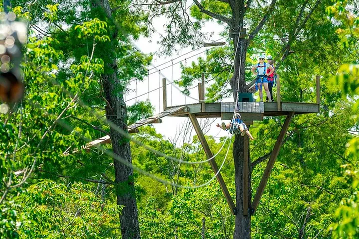 New Orleans Zipline Swamp Tour