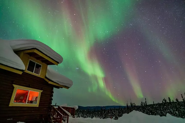 Fairbanks Northern Lights Tour - Primary Image