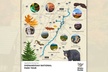 Shenandoah National Park Audio Driving Tour - Second Medium