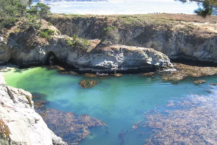 Guided 2-Hour Point Lobos Nature Walk