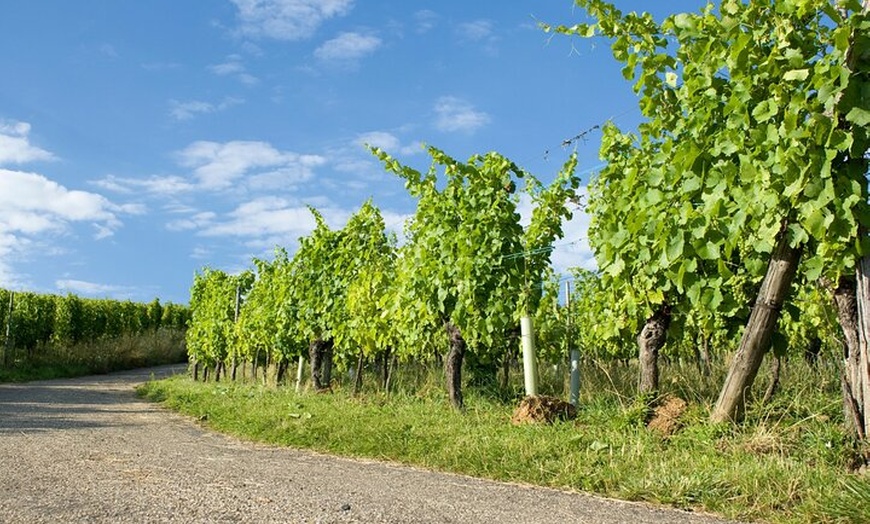 Image 7: Rallye Voiture Insolite sur la Route des Vins d'Alsace