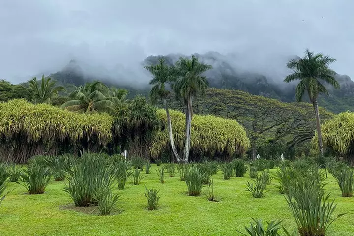 Oahu Island Experience feat the North Shore (Small Group Tour)