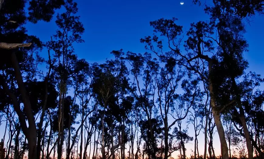 Image 3: Small Group Kangaroo Island Evening and Night Tour