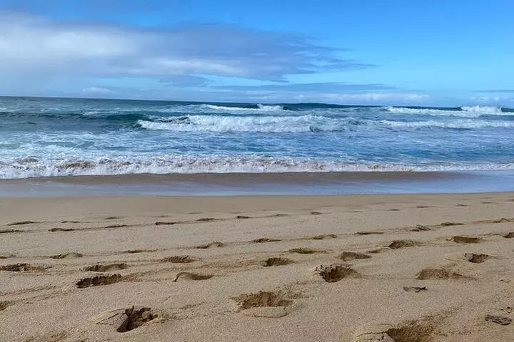 Diamond Head Hiking and Oahu Island Experience feat. North Shore