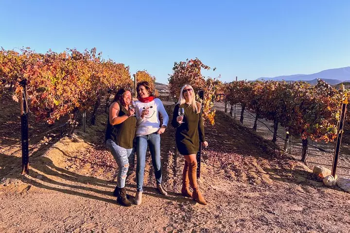 Temecula Valley Wine Tour with Tastings & ​Lunch Included