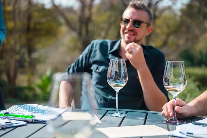 Half-Day Hill Country Wine Shuttle From Austin