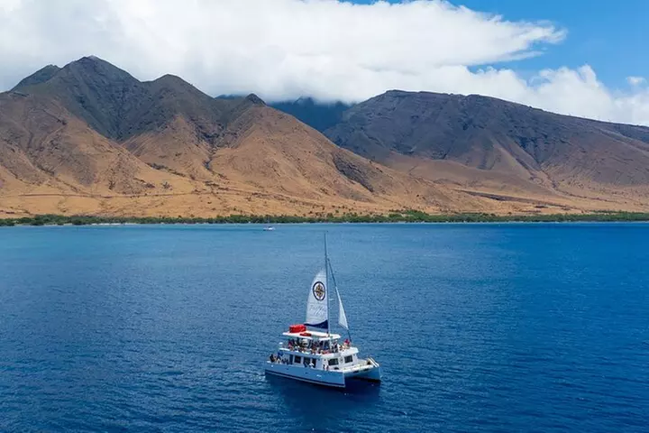 Four Winds Molokini Snorkeling Tour from Maalaea Harbor