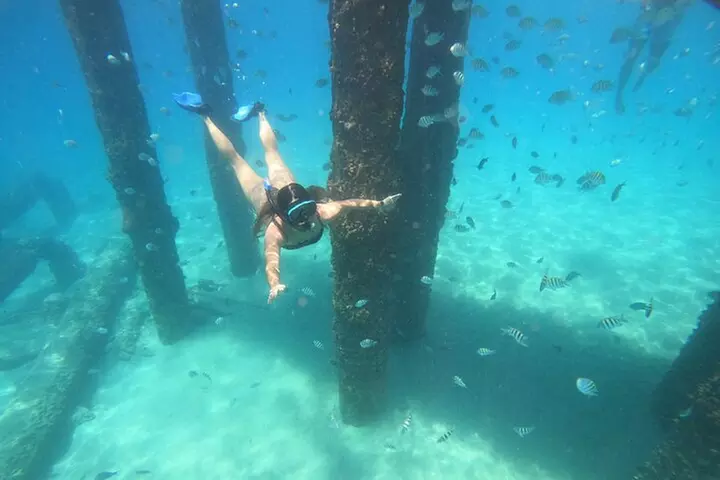 Coral Reef Snorkel Adventure with Photos and Videos - Primary Image