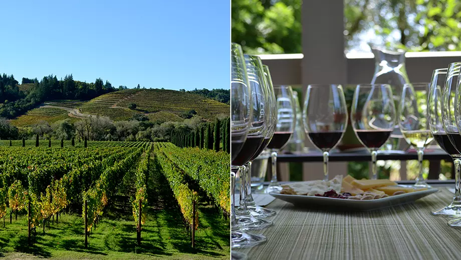 Redwoods & Wine Country Escape Tour - Primary Image