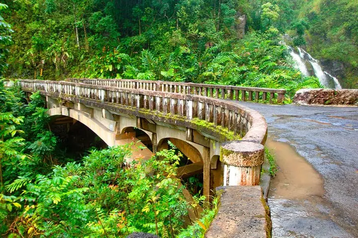 Maui: Famous Road to Hana Waterfalls and Lunch by Mercedes Van