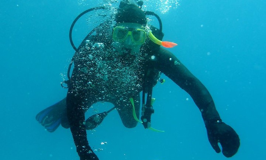 Image 8: Seastar Luxury Outer Great Barrier Reef Island and Reef Tour