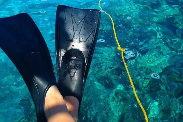 Key West Reef Snorkel & Sail Adventure
