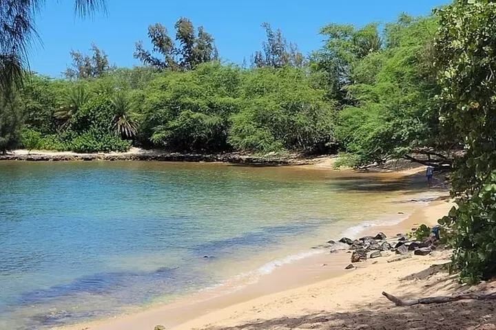Oahu Circle Island: Snorkel with Turtles & Explore Turtle Beach