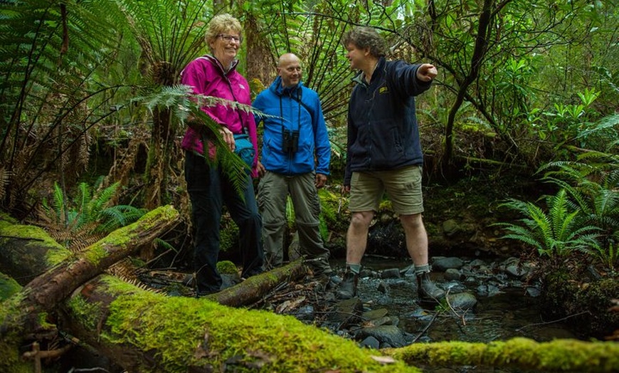 Image 2: Bruny Island Traveller - Gourmet Tasting and Sightseeing Day Trip f...