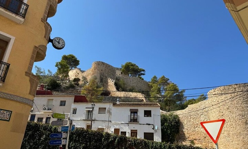 Image 4: Excursión de un día a Denia y los jardines mediterráneos